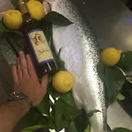 Mimosa מלון