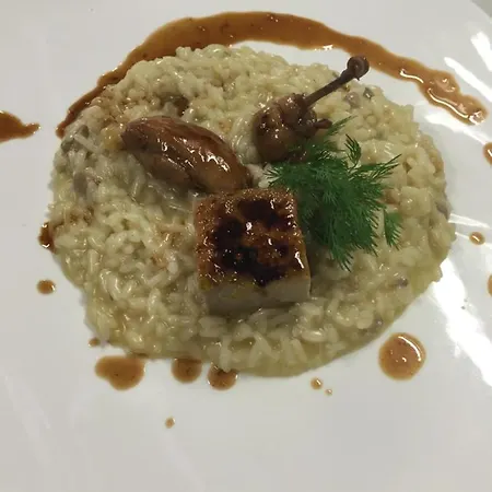 Hotel Mimosa Alassio