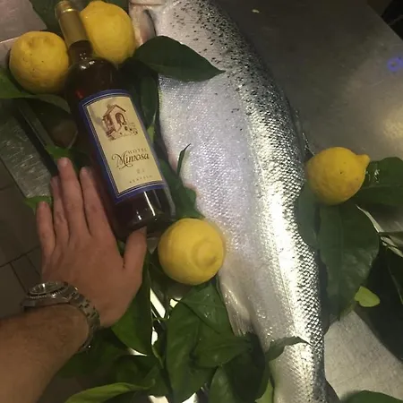 Mimosa ホテル