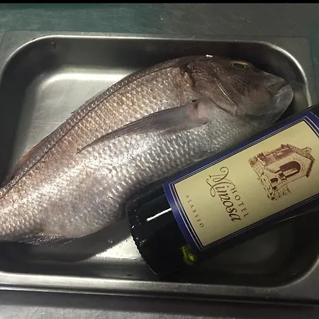 Mimosa Hotel Alassio