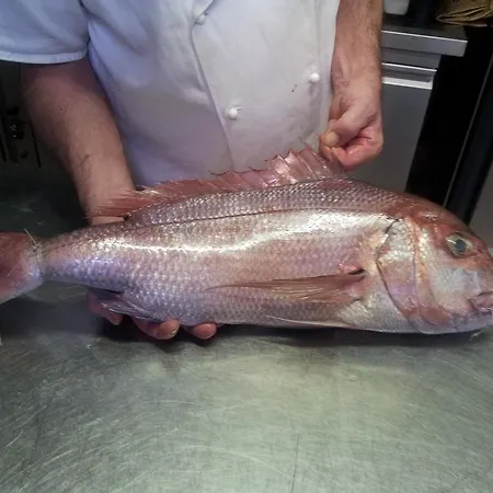 Hotel Mimosa Alassio