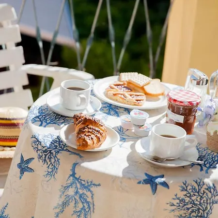 Отель Mimosa 2*