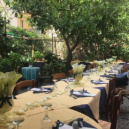 Hotel Mimosa